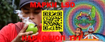 СК Апшеронск