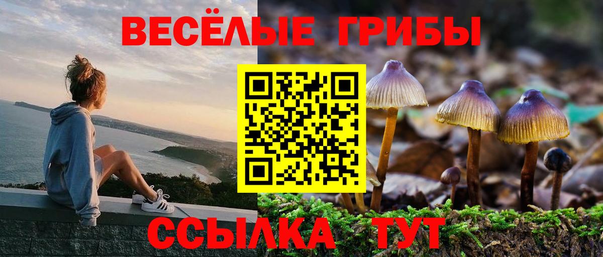 Галлюциногенные грибы мицелий  Псилоцибиновые грибы MAGIC MUSHROOMS  Вход с VPN  купить   Великий Новгород 
