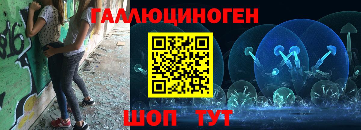 Галлюциногенные грибы прущие грибы Великий Новгород